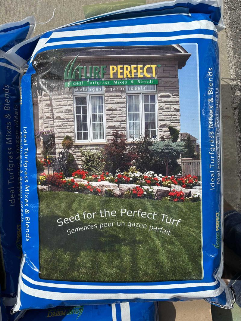 Turf Garden seed